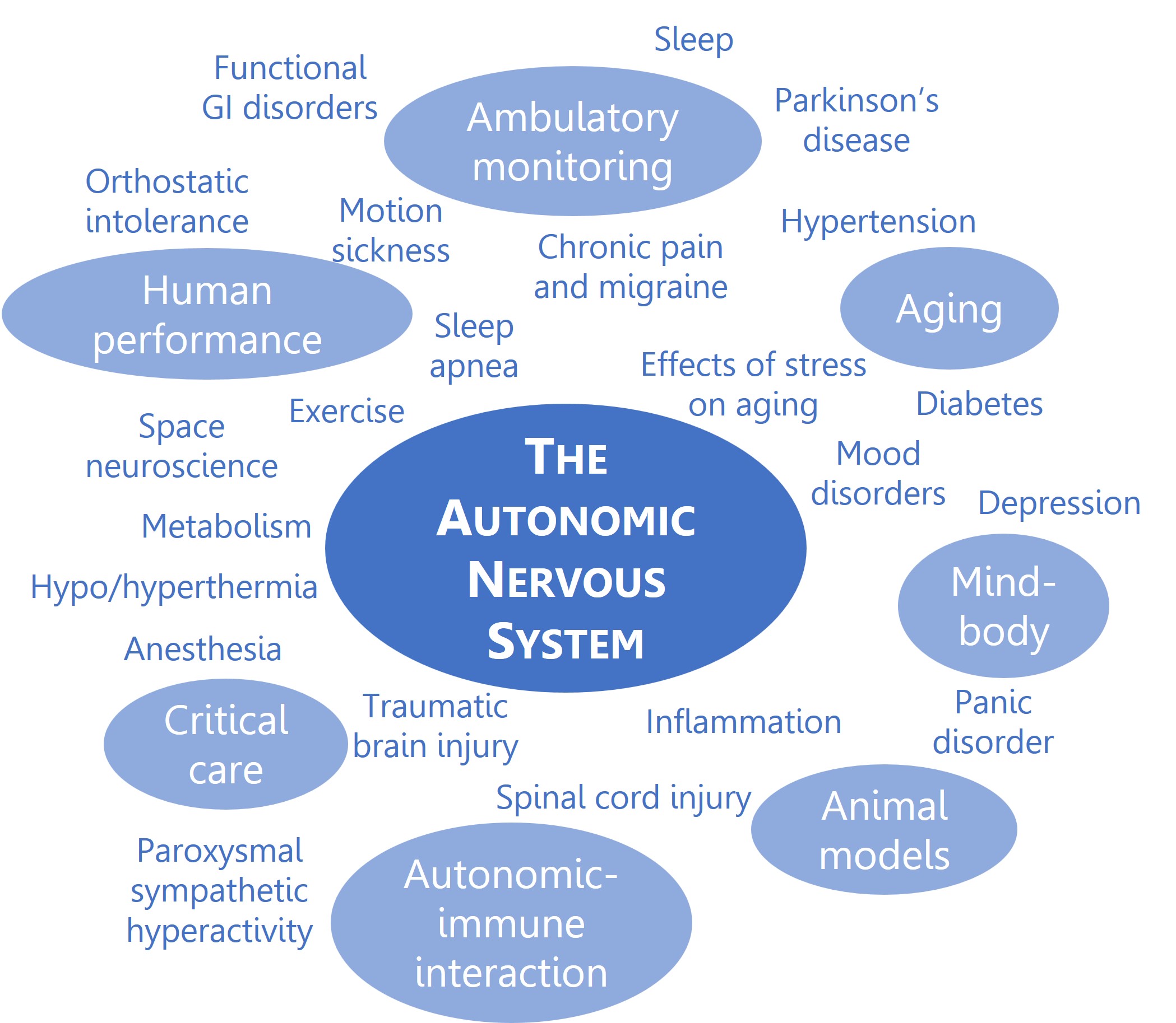 Autonomic nervous system word cloud